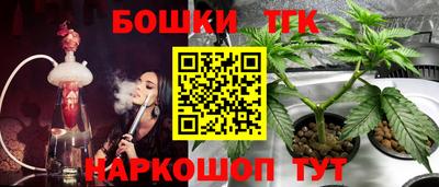 крисы Рузаевка